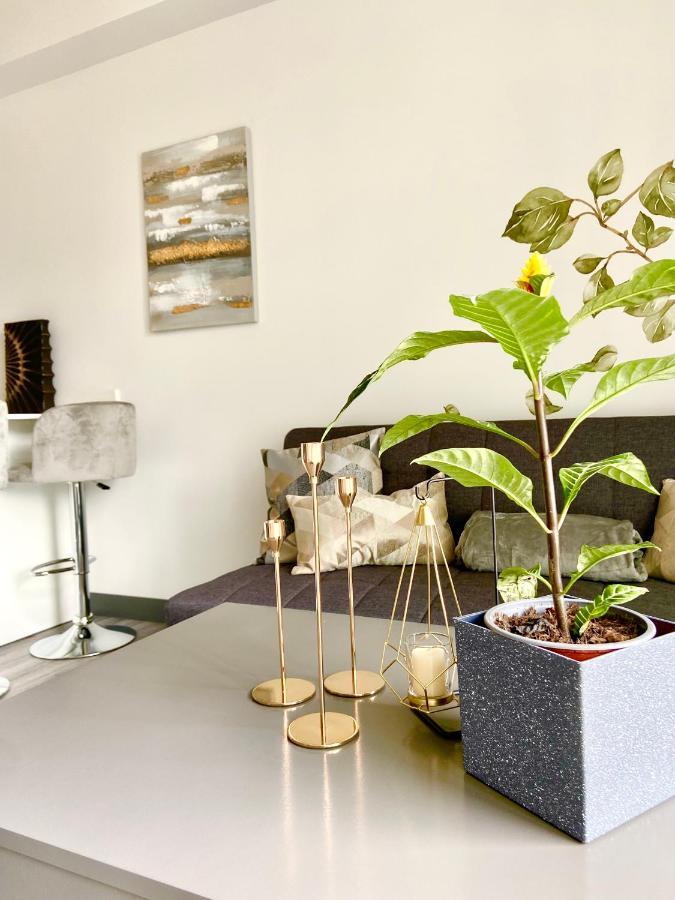Comodo Y Elegante Apartamento En Fabuloso Condo! San José Kültér fotó