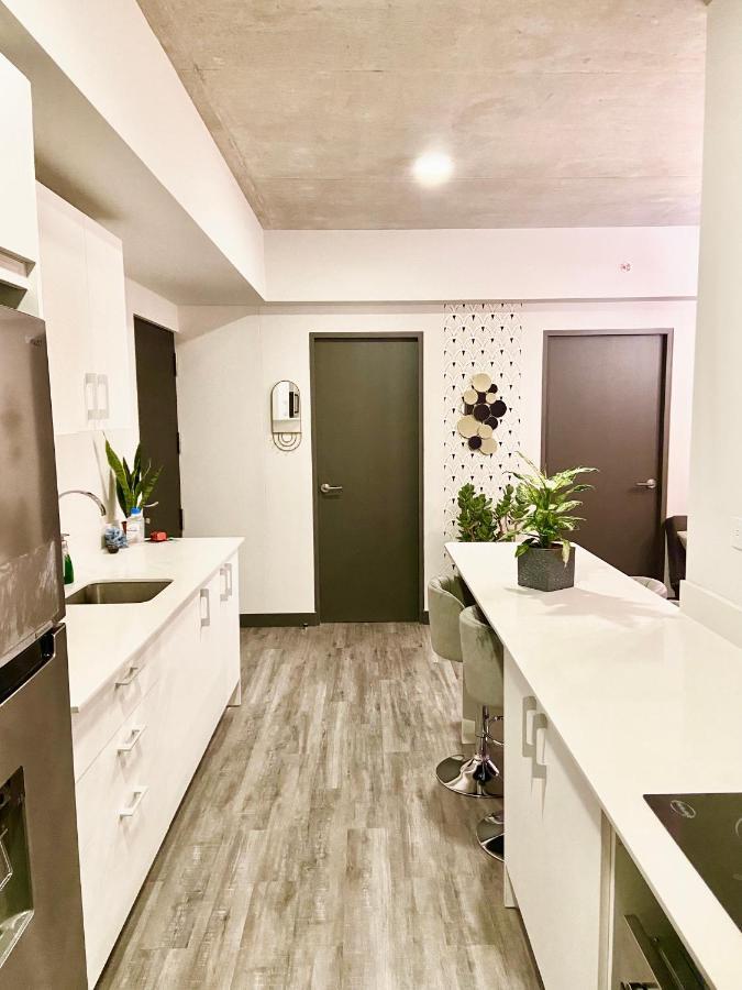 Comodo Y Elegante Apartamento En Fabuloso Condo! San José Kültér fotó